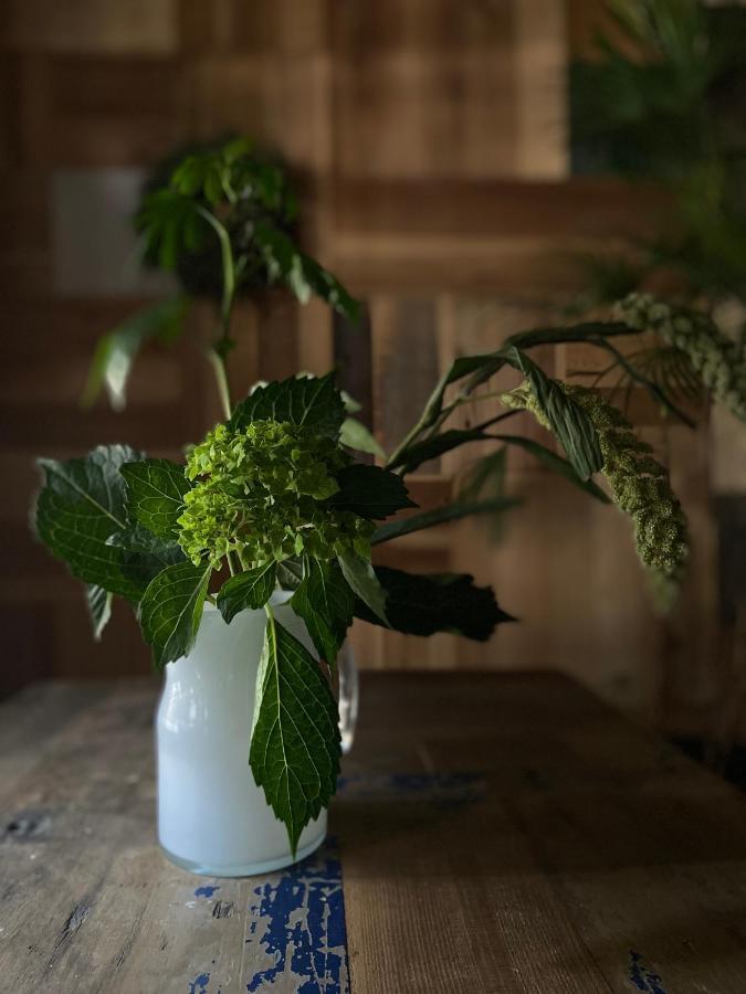 六根ゲストハウス Rokkon Guest House Kyoto Bagian luar foto