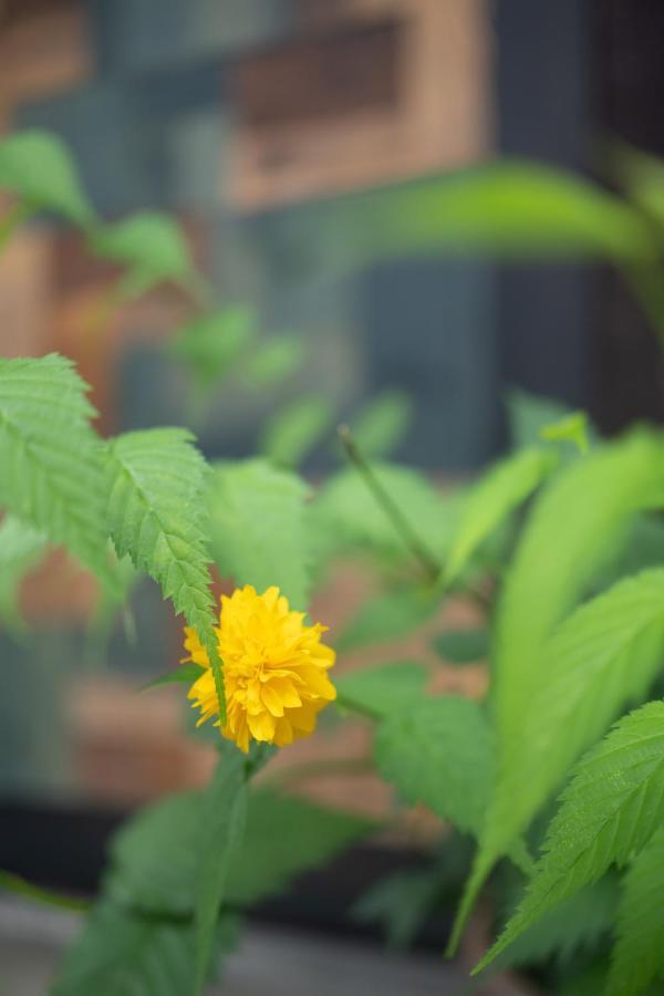 六根ゲストハウス Rokkon Guest House Kyoto Bagian luar foto